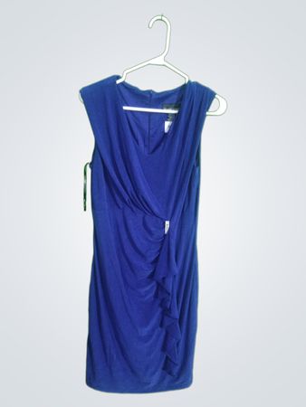 Frank Lyman Blue Dress