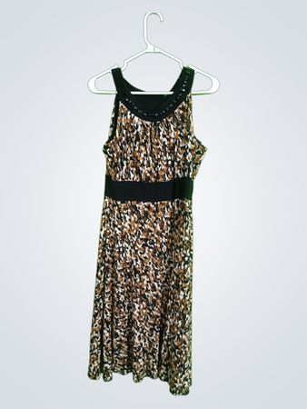 Animal Print Dress