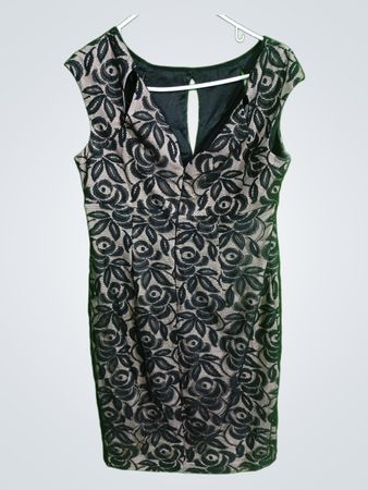 Maggy London Floral Dress