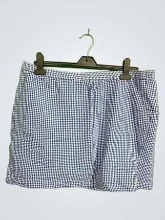 Cathy Daniels Blue and White Checkered Skirt