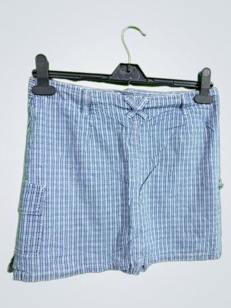 Blue Plaid Shorts
