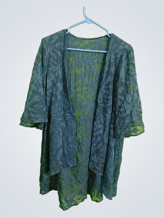Blue Sheer Kimono
