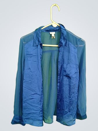 Blue Long-Sleeve Sheer Jacket