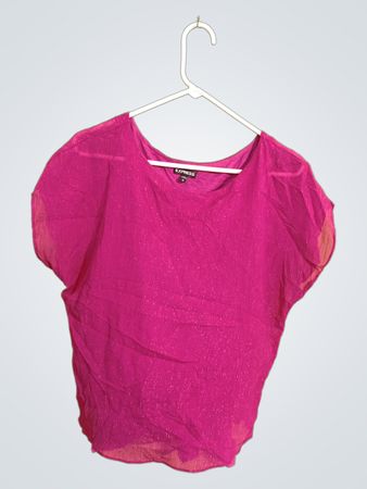Express Pink Blouse