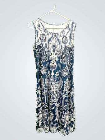 Blue and White Floral Dress
