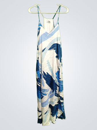 Blue and White Floral Maxi Dress