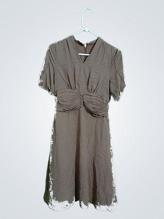 Brown Dress