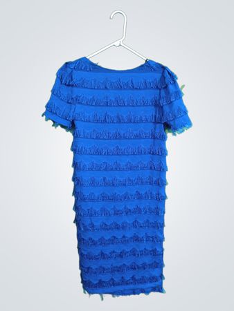 Blue Ruffled Dress