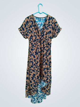 Brown and Blue Dress