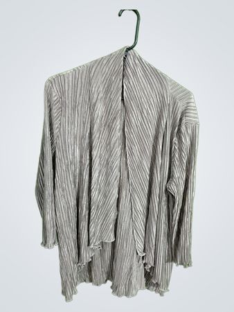 Gray Pleated Blouse