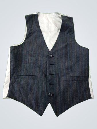 Gray Vest with White Lining