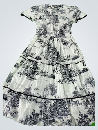 umgee black and white toile dress