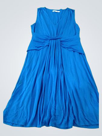 Boston Proper Blue Dress