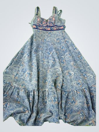 Blue Paisley Tiered Maxi Dress