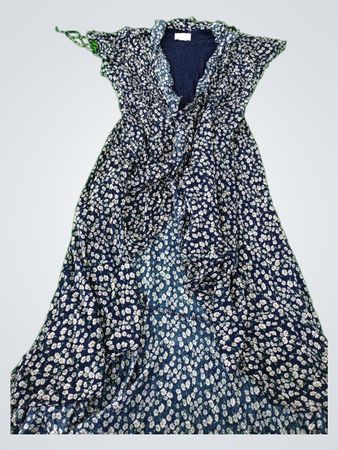 Lost + Wander 1955 Floral Maxi Dress