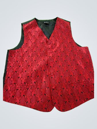 Gino Lussari Vest