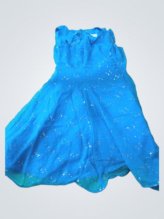 Blue Sequined Dress