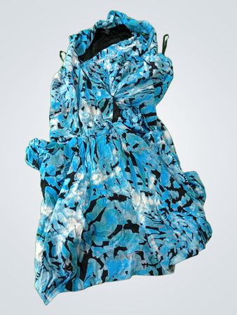 Blue Floral Dress