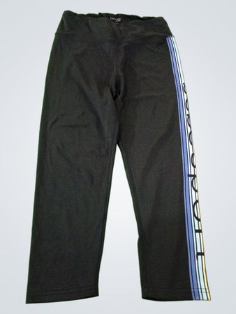 Bebe Sport Leggings