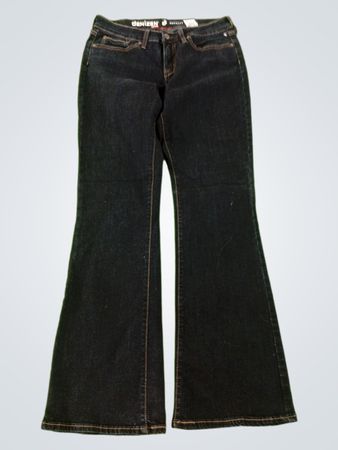 Denizen Levi's Flare Jeans
