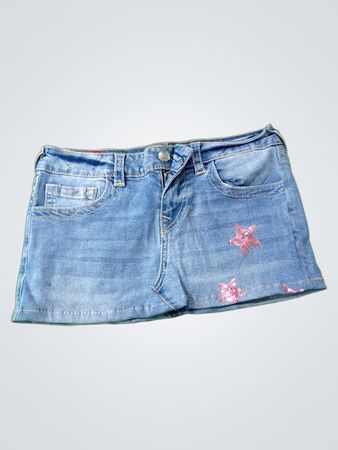 True Religion Denim Skirt