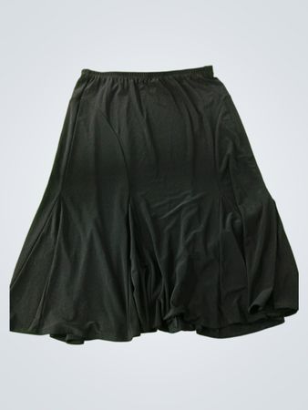 Piccadilly Fashions Black Skirt