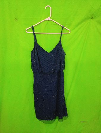 Adrianna Papell Beaded Mini Dress