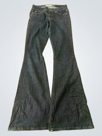 Level 9.9 Flared Jeans