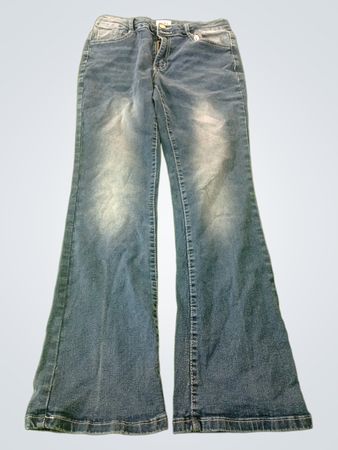 Blue Flare Jeans