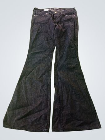 American Eagle Dark Wash Flare Jeans