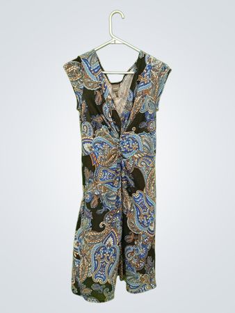 Muse Paisley Print Twist Front Dress