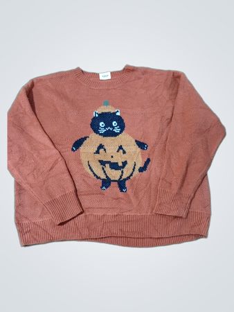 Orange Halloween Cat and Pumpkin Sweater