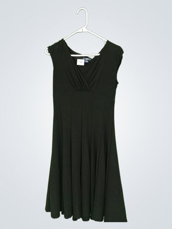 AMERICAN LIVING DRESS