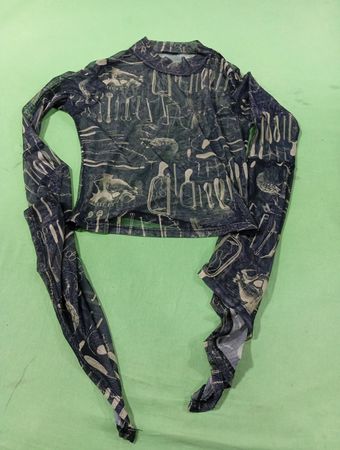 Durchsichtiger Mesh-Langarm-Crop-Top mit Grafikdruck