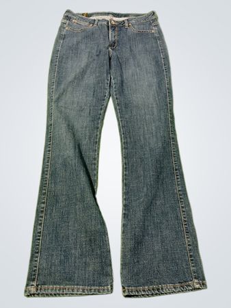 Blue Flare Jeans