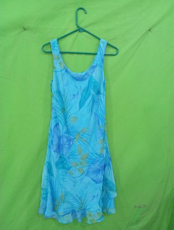 Scarlett Blaues Blumenkleid