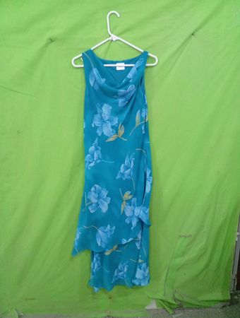 Teal Floral Print Dress