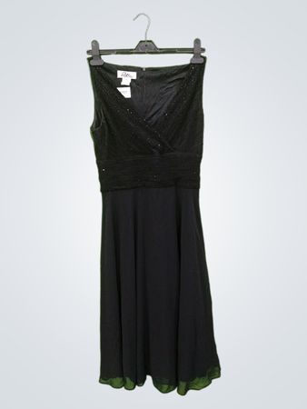 Patra schwarzes ärmelloses gerafftes Taillen-Kleid