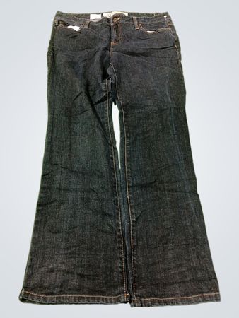 Ann Taylor Loft Slim Boot Jeans
