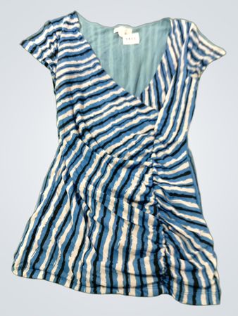 New York & Company Blau-weiß gestreiftes gerafftes Kleid