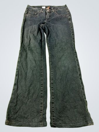 Jag Jeans Women's Flare Jeans
