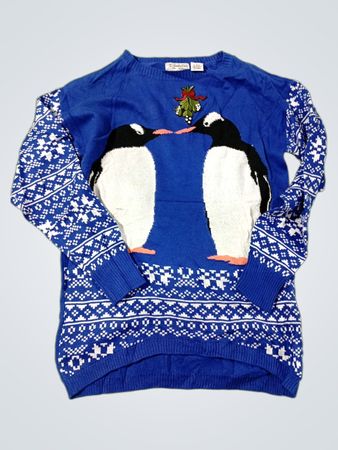 Isabellas Schrank Blauer Pinguin Weihnachten Pullover