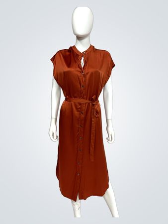 Banana Republic Muse Silk Shirtdress (Like New)