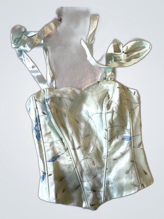 Light Green Embroidered Corset Top