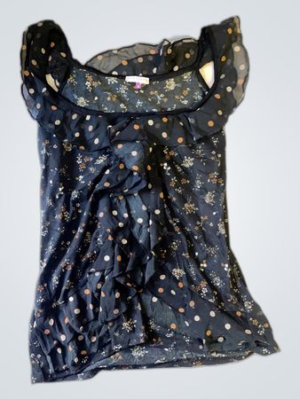 Zara Printed Sheer Blouse