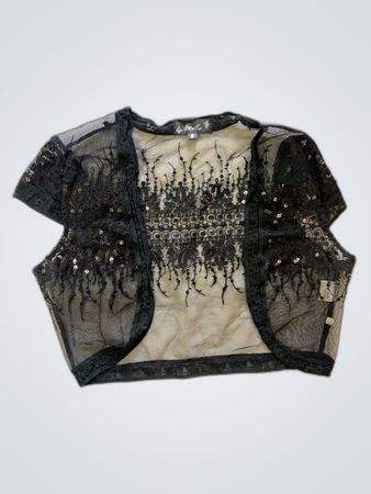 Hella Black Lace Sheer Top