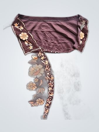 Brown Embroidered Top