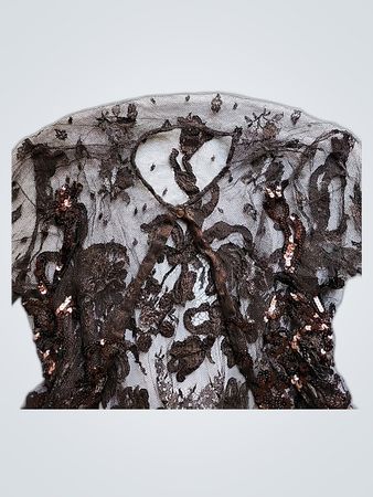 Sheer Lace Top