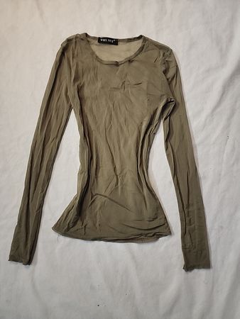 Why Not Sheer Long Sleeve Blouse