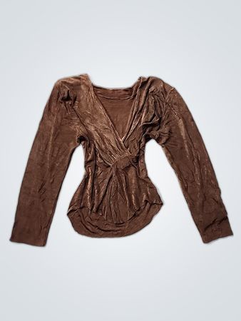 Brown Velvet Top